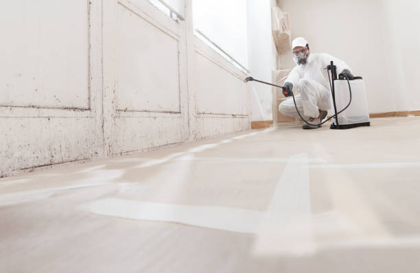 24/7 Emergency Basement Mold Remediation experts in Shrewsbury, NJ