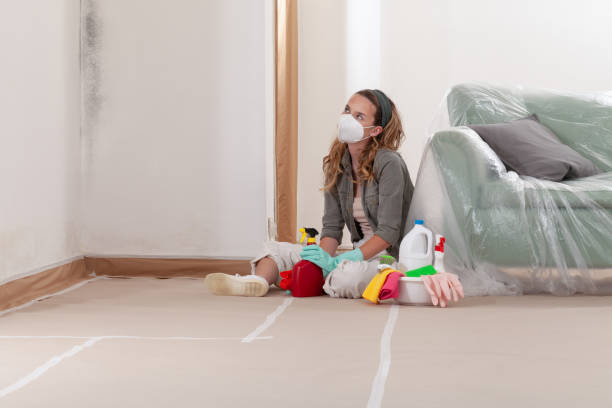 Reliable Basement Mold Remediation contractor in Shrewsbury, NJ by WQB Mold Removal